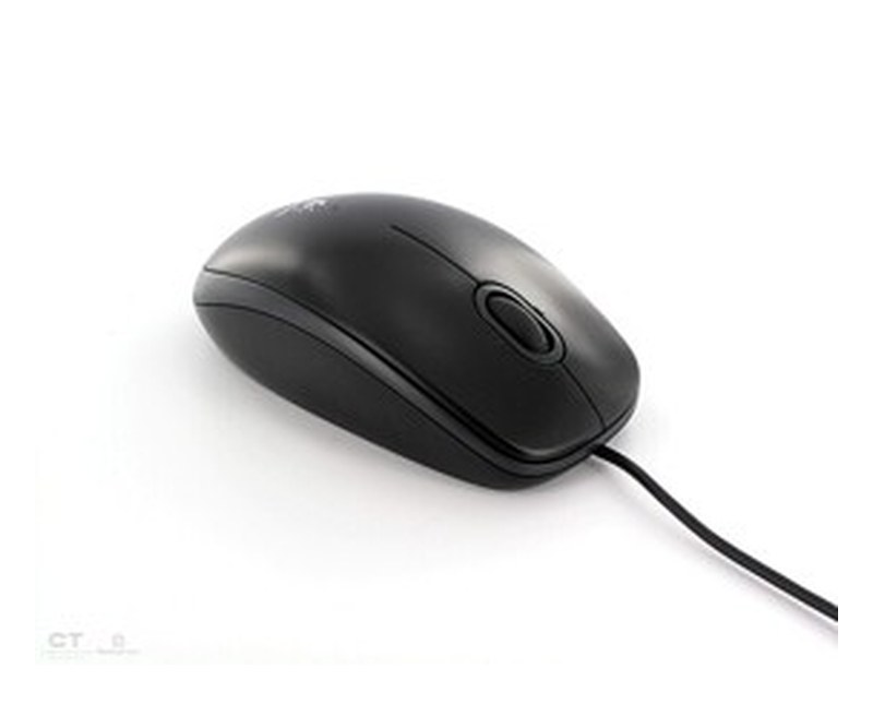 Souris