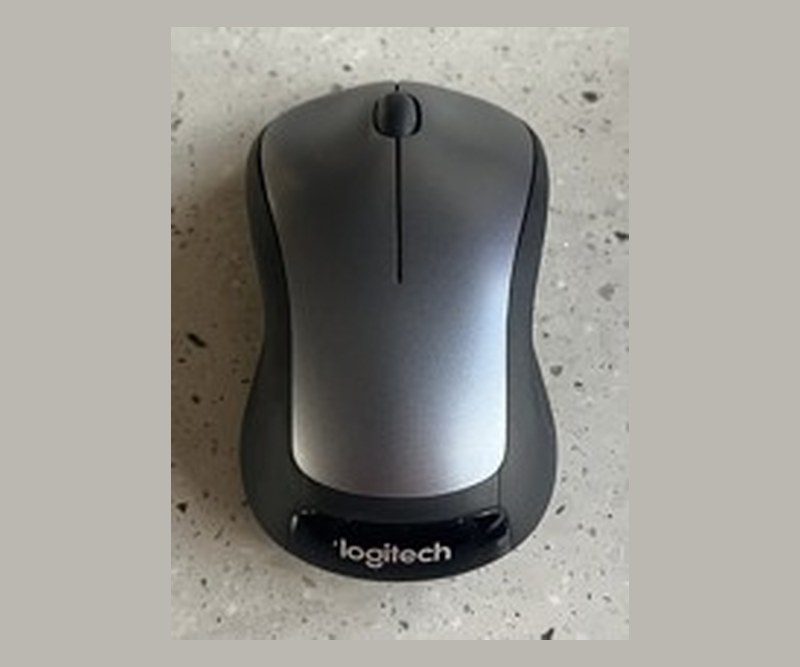 Souris